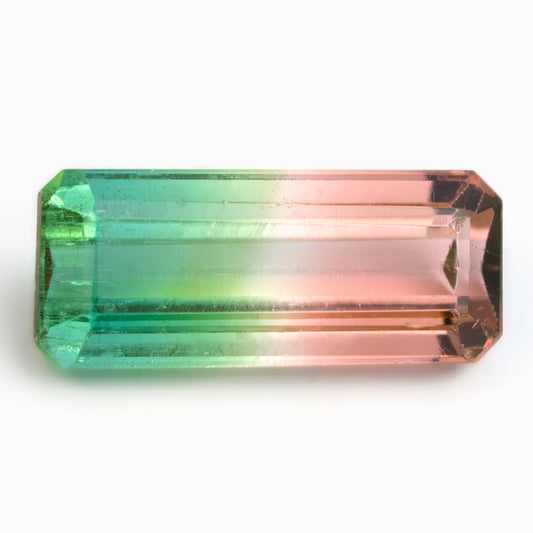 8.2x3.5mm Octagonal Bi-Coloured Tourmaline (TOBE832]